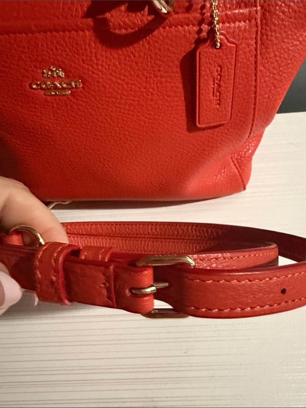Coach Mini Ellis Tote is crafted from pebbled leather - Picture 7 of 11